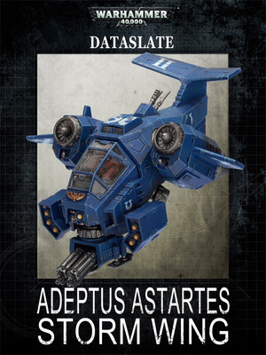 Adeptus Astartes Storm Wing 6th edition