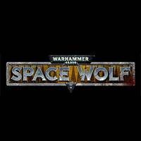 Warhammer 40,000: Space Wolf небольшое интервью